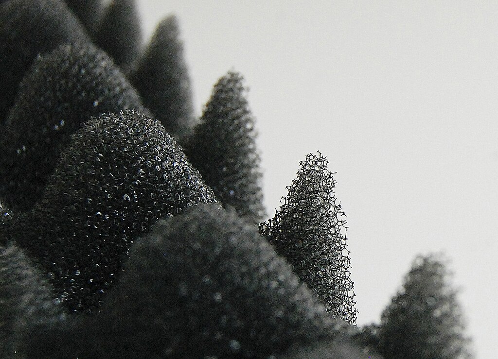Polymeric foam