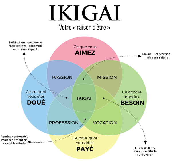 Ikigai+, permettre aux étudiants de trouver leur voie en lien avec les enjeux de la société 