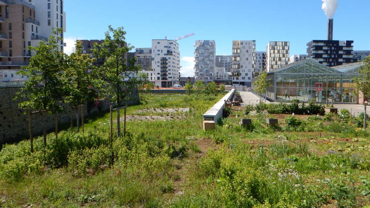 Le LaboVivant de Trappes, un  lieu d’expérimentation 